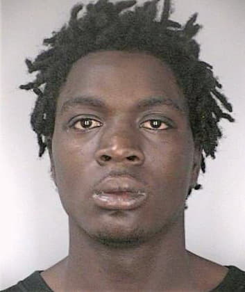 Mason Robert - Hillsborough County, FL 