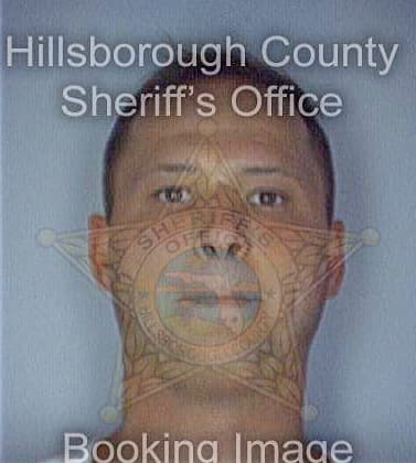 Harrington Timothy - Hillsborough County, FL 