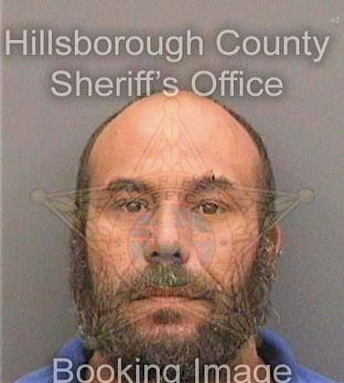 Munoz Anselmo - Hillsborough County, FL 
