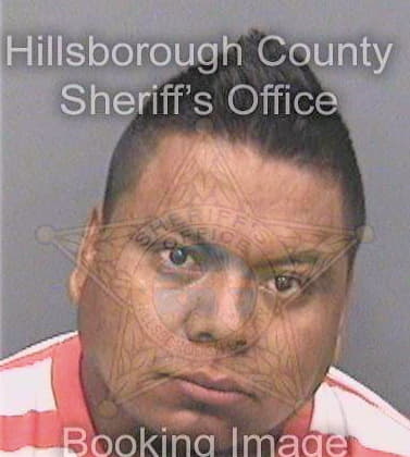Dominguez Arbin - Hillsborough County, FL 