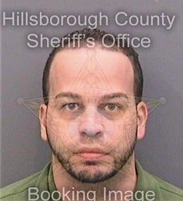 Ramos Edwin - Hillsborough County, FL 
