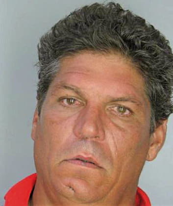 Vidueiro Jose - Hillsborough County, FL 