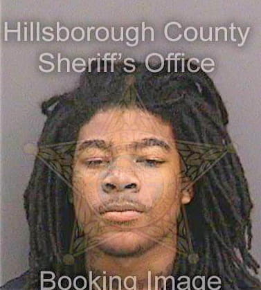 Harmon Trevian - Hillsborough County, FL 