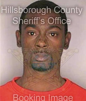 Bellamy Fabian - Hillsborough County, FL 
