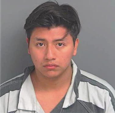 Sicaj-Tino Isabel - Montgomery County, TX 