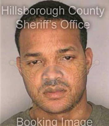 Holmes Larry - Hillsborough County, FL 