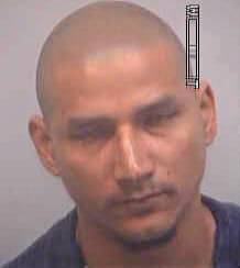 Alvarenga Samuel - Fulton County, GA 