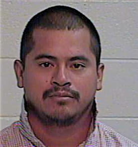 Hernandez Angel - Hidalgo County, TX 