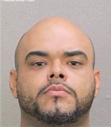 Gonzalez Joel - Broward County, FL 