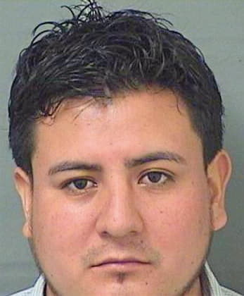 Galvezortiz Selvin - PalmBeach County, FL 