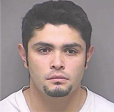 Heisner Carlos - Denton County, TX 