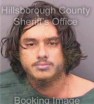 Abreu Giovanni - Hillsborough County, FL 