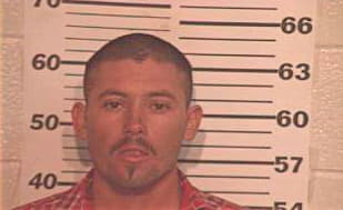Hernandez Luis - Hidalgo County, TX 