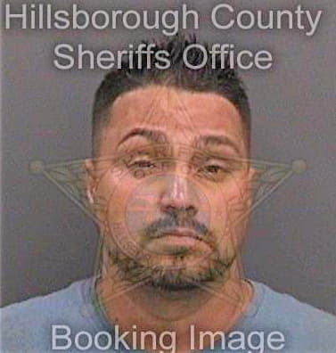 Negron Miguel - Hillsborough County, FL 