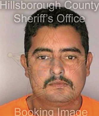 Salinas Ramon - Hillsborough County, FL 