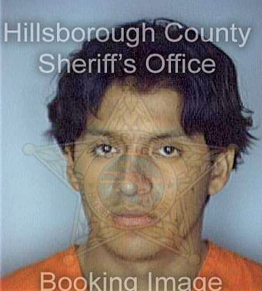 Martinez Raul - Hillsborough County, FL 
