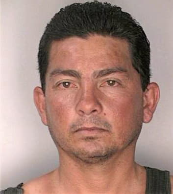 Feliciano Francisco - Hillsborough County, FL 