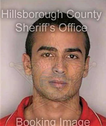 Dearmas Mario - Hillsborough County, FL 