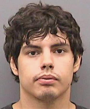 Perez Mark - Hillsborough County, FL 