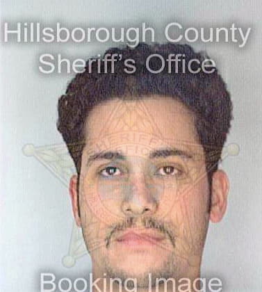 Hernandez Rafael - Hillsborough County, FL 