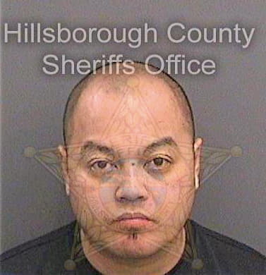 Mai Vanlan - Hillsborough County, FL 
