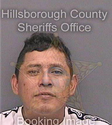 Gomezgonzalez Walter - Hillsborough County, FL 