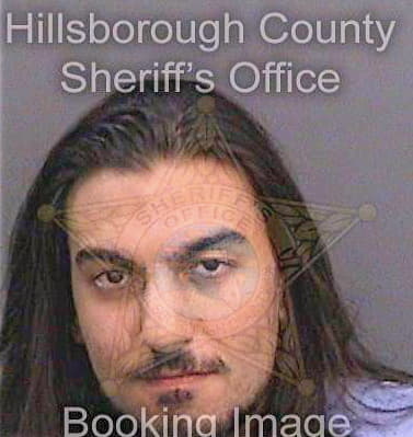 Behzadi Cyrus - Hillsborough County, FL 