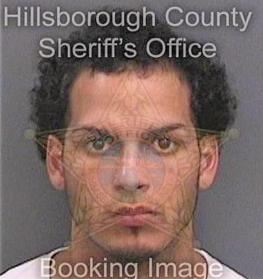 Sierra Daniel - Hillsborough County, FL 