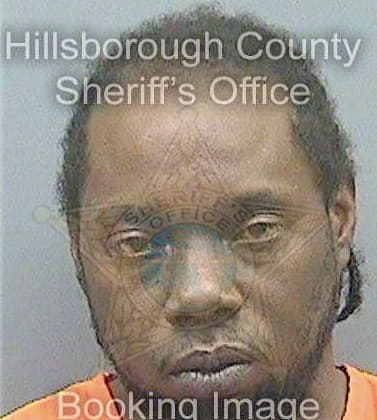 Davis Daryl - Hillsborough County, FL 