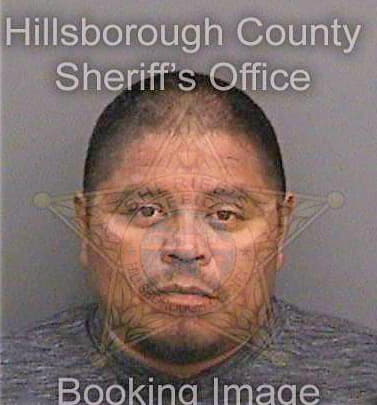 Garcia Hector - Hillsborough County, FL 