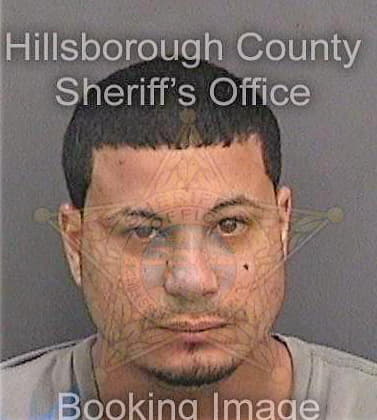 Negron Cintron - Hillsborough County, FL 
