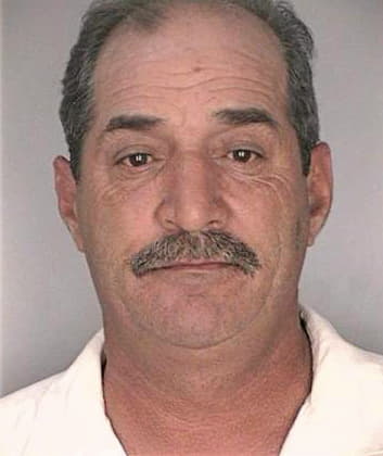 Decarlo Michael - Hillsborough County, FL 