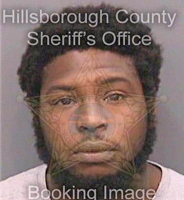Felder Timothy - Hillsborough County, FL 