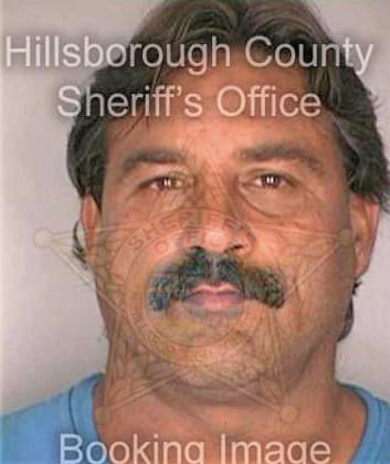 Hageman Todd - Hillsborough County, FL 