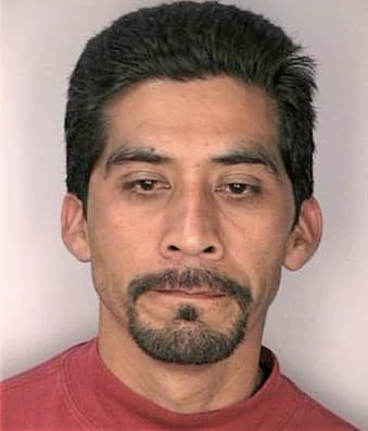 Melendez Adan - Hillsborough County, FL 