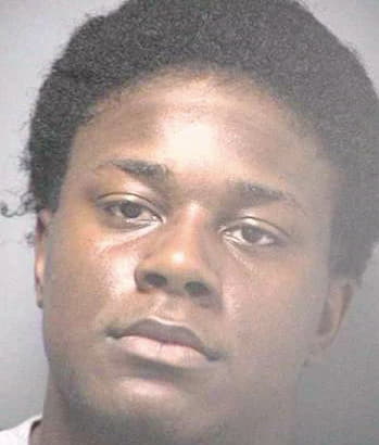 Hall Cerrone - Hillsborough County, FL 