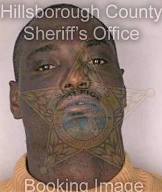 Mckenzie James - Hillsborough County, FL 