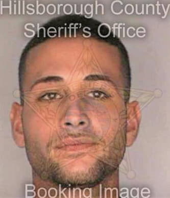 Semidey Angel - Hillsborough County, FL 
