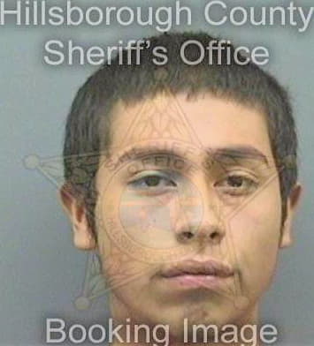 Meneses Daniel - Hillsborough County, FL 