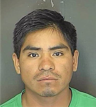 Mendoza Hermenogildo - Charleston County, SC 