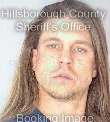 Higgs Jeffrey - Hillsborough County, FL 