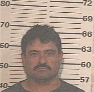 Silguero Marin - Hidalgo County, TX 