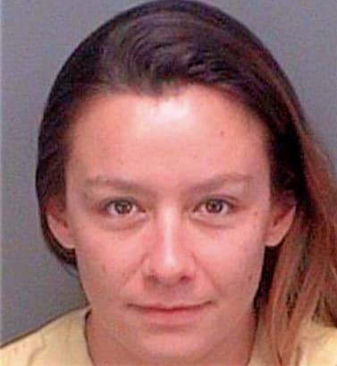Gibson Nicole - Pinellas County, FL 