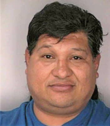 Sanchez Damian - Hillsborough County, FL 