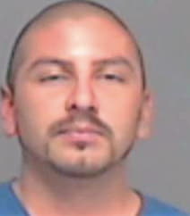 Hernandez Homero - TomGreen County, TX 