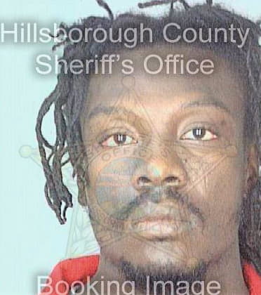 Duvert Jean - Hillsborough County, FL 