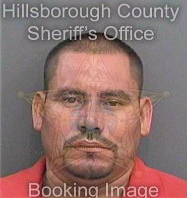 Rodriguezhernandez Luis - Hillsborough County, FL 