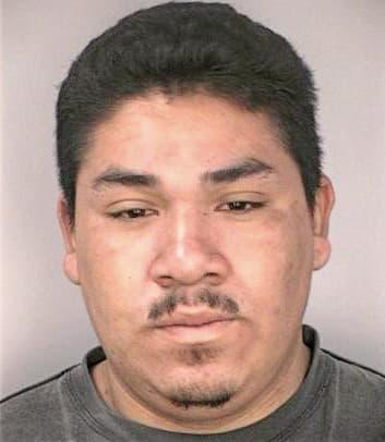 Chavez Marco - Hillsborough County, FL 