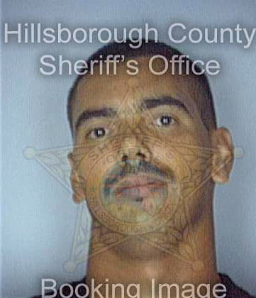 Gonzalez Julio - Hillsborough County, FL 