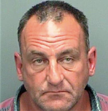 Terwilliger Lyndel - Pinellas County, FL 